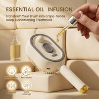 3-in-1 Electric Spray Air Cushion Massage Comb✨